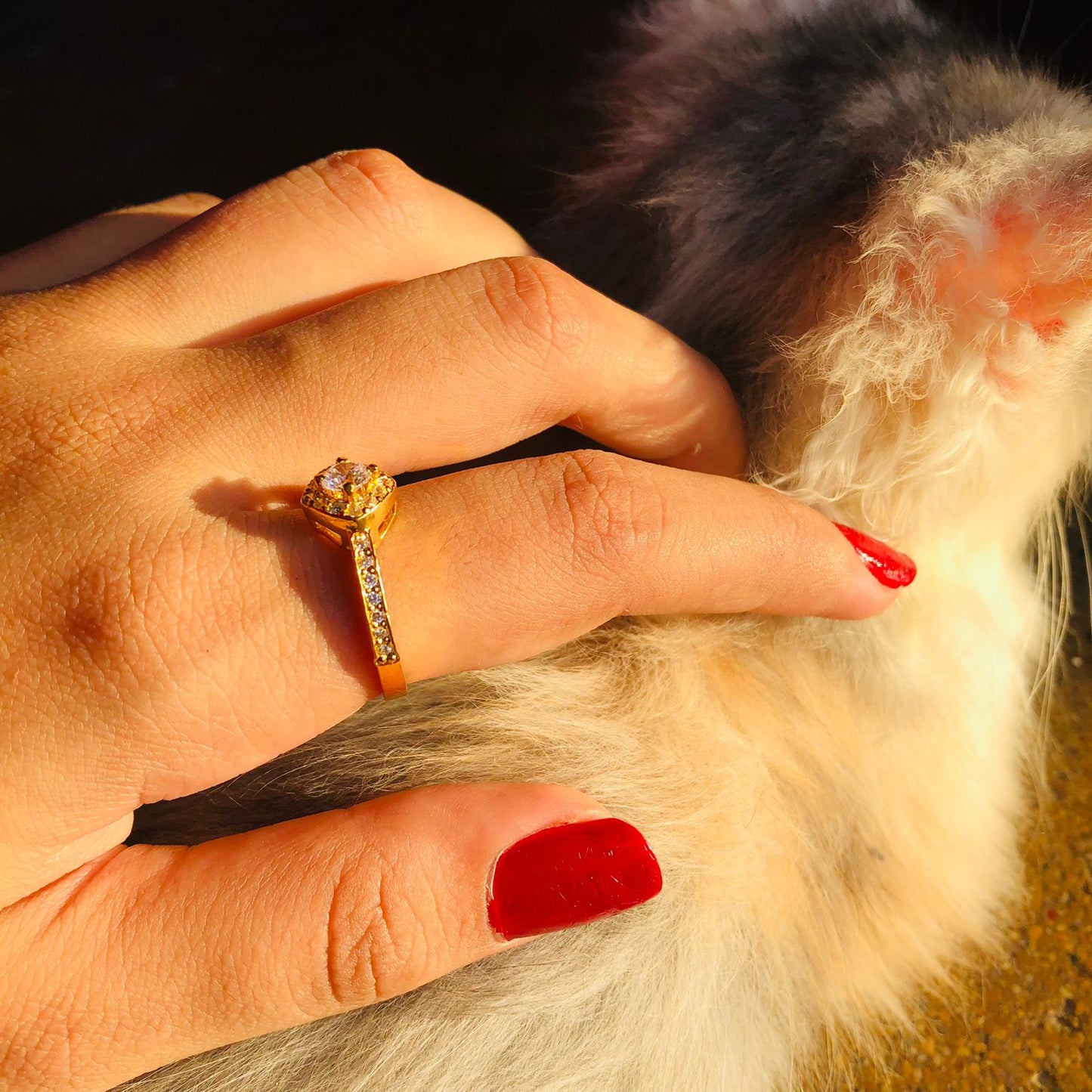 Halo Beaded Ring (Gold Plated 925 Sterling Silver)