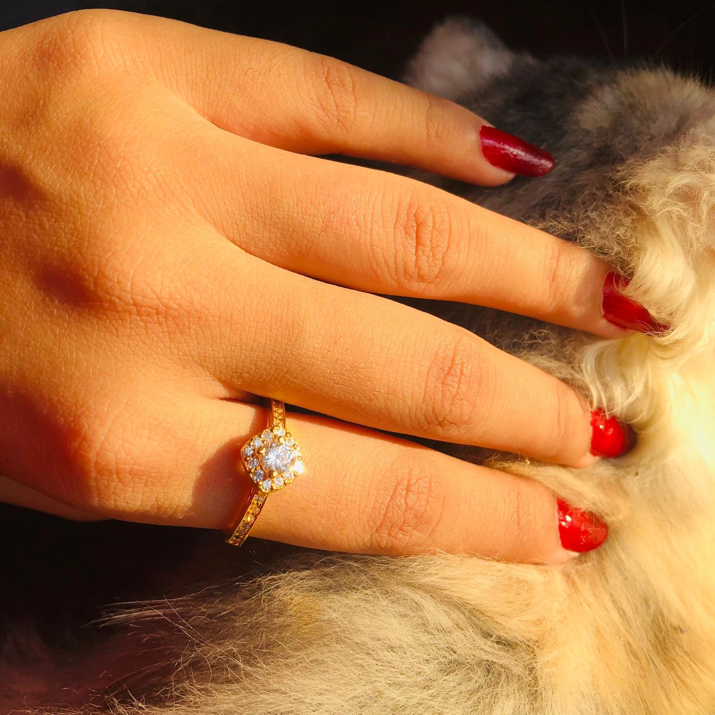 Halo Beaded Ring (Gold Plated 925 Sterling Silver)