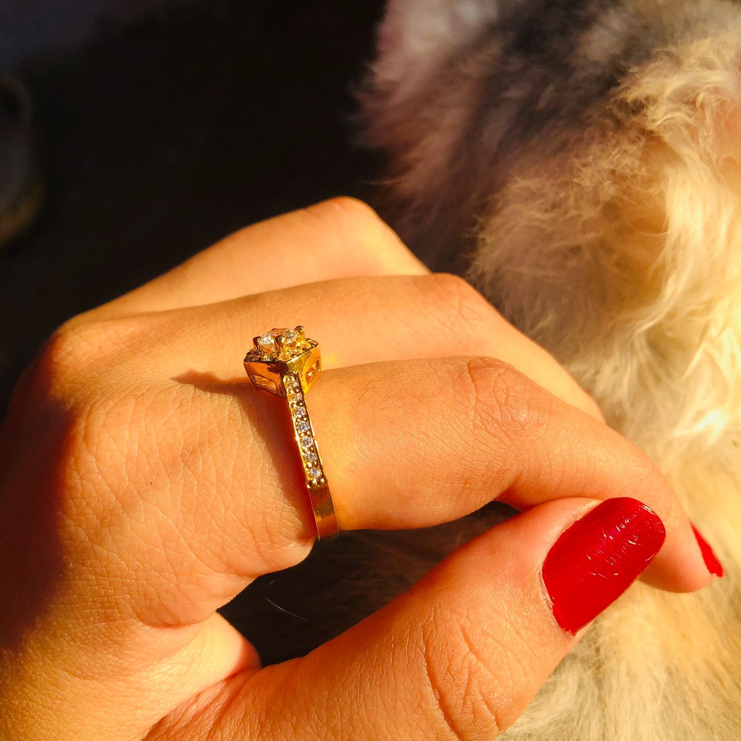 Halo Beaded Ring (Gold Plated 925 Sterling Silver)